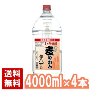 ˂ 25x 4000ml×4{Zbg(1P[X) Ē ybg e 4L