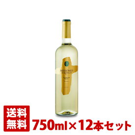 【送料無料】ミシオネス レセルバ ソーヴィニヨン・ブラン 750ml 12本セット チリ 白ワイン