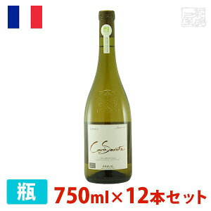 yzLF ZNe Vhl 750ml 12{Zbg _h~ܖY I[KjbNC C h tX