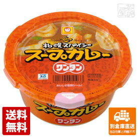 マルちゃん スープカレーワンタン 26g x 12個【送料無料 同梱不可 別倉庫直送】