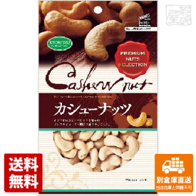 共立食品 カシューナッツ チャック付 70g x10 セット 【送料無料 同梱不可 別倉庫直送】