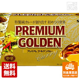 S&B エスビー プレミアムゴールデンカレー 中辛 160g x10 セット 【送料無料 同梱不可 別倉庫直送】