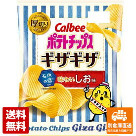 カルビー ポテトチップス ギザギザ味わいしお味 60g x12 【送料無料 同梱不可 別倉庫直送】