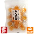 中島製菓 あんず飴 117g x 12袋 【送料無料 同梱不可 別倉庫直送】