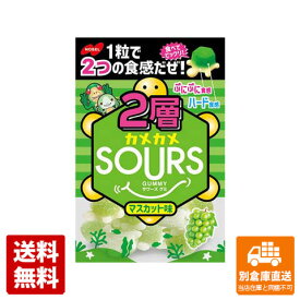 ノーベル 2層カメSOURSマスカット 45g x 6 【送料無料 同梱不可 別倉庫直送】