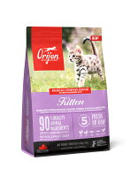 楽天市場】origin cat & kittenの通販