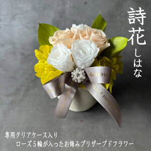 ypNAP[XsbNt@[Y5֓z@AvU[uht[Ԃ͂ȁ@@ԁ@@@ @r@dԁ@V~@ފ݁@