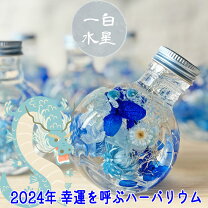 楽天市場】ブルースターハーバリウムの通販 