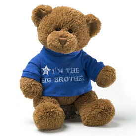 ガンド GUND ぬいぐるみ 人形 ビッグブラザー Tシャツベア テディベア 6047553 兄 お兄ちゃん