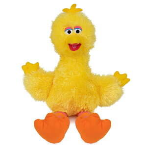 Kh GUND ZT~Xg[g ʂ l` rbOo[h 6047450 CG[