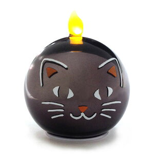 W[eB[GX GTS Shimmers V}[ Lbg GTSH407 nEB L ubNn}`