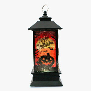 GTS ~jofB[ CXg^[ nEB WbN I[ ^ ڂ ドCg  I[ig HTN207 rO Q C~l[VCg p NX}Xv[g