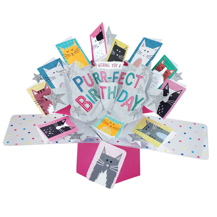 楽天市場 セカンドネイチャー Second Nature ポップアップカード ハッピーバースディ キャット シルバー ホワイト 白 ピンク お洒落な バースデーカード おもしろバースデーカード バースデーカード 誕生日 メッセージ入り 絵葉書 30代 買い回り 買い周り 買いまわり