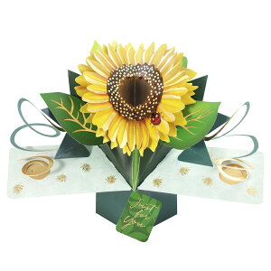 ZJhlC`[ SECOND NATURE |bvAbvJ[h O[eBOJ[h Tt[ POP209 Just for you S߂ q}   3D bZ[WJ[h Cxg