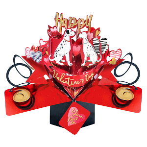 ZJhlC`[ SECOND NATURE o^C |bvAbvJ[h O[eBOJ[h hbOX VPOP054 o^Cf[  3D bZ[WJ[h Cxg