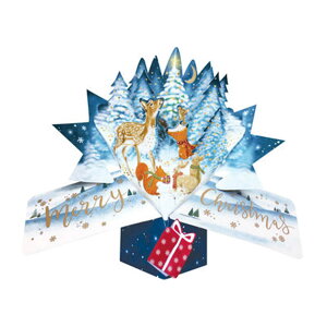 ZJhlC`[ SECOND NATURE |bvAbvJ[h NX}XJ[h Ebhh Aj}Y XPOP064 NX}X giJC X ETM 3D bZ[WJ[h Cxg