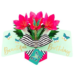 ZJhlC`[ SECOND NATURE |bvAbvJ[h O[eBOJ[h o[Xf[ A}X POP241   a 3D bZ[WJ[h Cxg