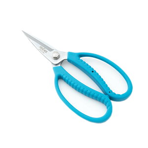 t`oCg FUCHI BITE YnT~ Lb`nT~ ˓u[ AEghA ނ tBbVO 㖜 tb`[