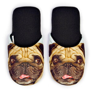 yAEgbgz[X|W eurospugna Xbp DOGSV[Y CARLINO PUG pO  C^A MTCY