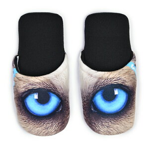 [X|W eurospugna Xbp  uh qp 􂦂 Zbg  Aj} fB[X [V[Y    킢 lC     