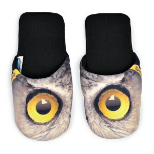 [X|Weurospugna Xbp  􂦂 qp uh Zbg  Aj} fB[X [V[Y   킢 lC  gC    ~ 