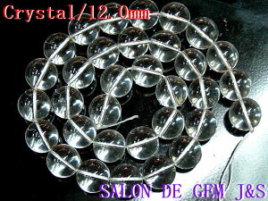 yɏニ[Xzy\̐/SĂ򉻁zyŏ㋉zyVRNX^i{j12D0mmzy1{F40cm㎅ʂzp[Xg[yԎ又zy{zyܓz