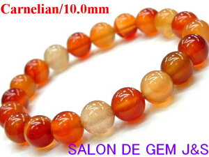 y쌳́zyȎ̐΁zy㎿zy嗱zyVRJ[lA J^uXbgzyC10D0mmzyaF17cm(LTCY)zEJ^p[yܓzy{zy