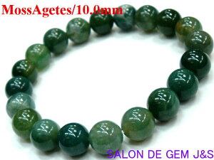 y쌳́zyxEaE/̑ABzy㎿zyVRXAQ[g() J^uXbgzyA10D0mmzyaF17cm(LTCY)zy򉻍Ϗizy{zEJ^