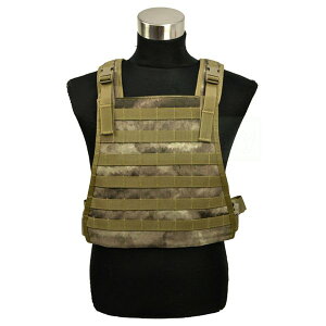 FLYYE MBSS Plate Carrier A-TACS