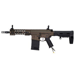 ARES × AMOEBA AR308S HPACt yKP[Xtzyʌz