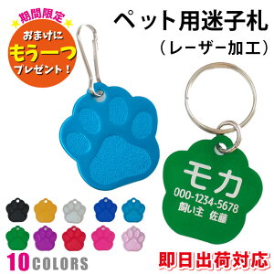 yoבΉ  ybgpqDi[U[Hjzy^z  D l[^O MtgbsO [֑