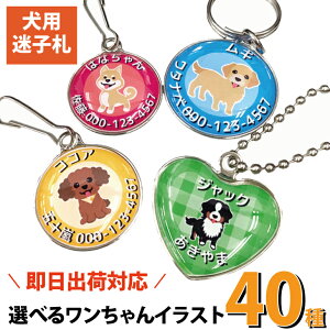 yoבΉ CXgtpqDz D  ꖳ MtgbsO [֑