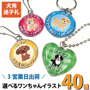 y3cƓo CXgtpqD zD  ꖳ MtgbsO [֑