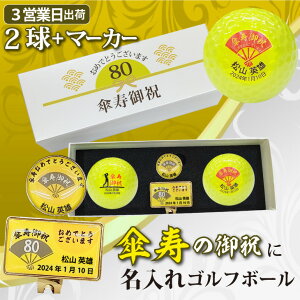 y3cƓo St{[zyPjfUC F{[2{}[J[Zbg z[J[CF ϔ MtgbsO a Pj v[g IEl