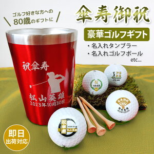 yoבΉ PStMtgZbgz(^u[ESt{[EeB[) Pj PLO 80 MtgbsO