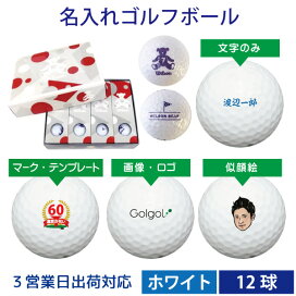 楽天市場 名入れゴルフボール メーカーで選ぶ ウィルソン 名入れボールゴルフギフトゴルゴル