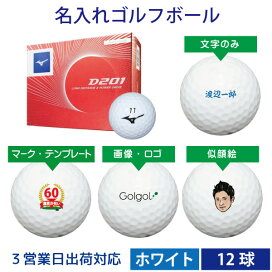 楽天市場 名入れゴルフボール メーカーで選ぶ ミズノ 名入れボールゴルフギフトゴルゴル