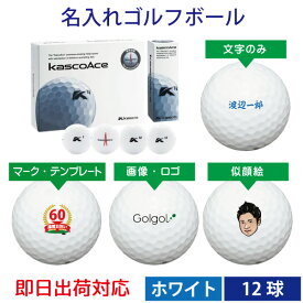 楽天市場 キャスコエース ボールの通販