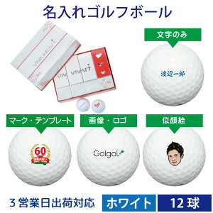 誕生日 スタンプ プレゼント ゴルフボールの人気商品 通販 価格比較 価格 Com