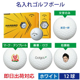 入れ 即日 ボール 名 ゴルフ