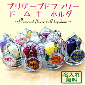 ̓ Mtg vU[uht[ h[ L[z_[ ꖳ 3cƓo  a v[g bZ[W▼O\