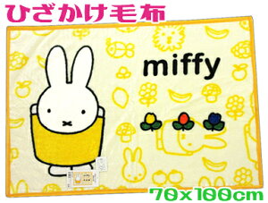 ~btB[j[}C[Ђѕz70x100cm Q CG[NH[^[Pbgc q Ԃ ۈ牀  uPbg WjAxr[ KK225-2  Q ߐ G|