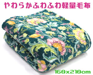 ӂӂ\tg^b`yʖѕzZ~_uTCY 160x200cmO[ j[}C[ɂ {^jJ 炩 V[v  ChTCY 邢 g ӂƂ