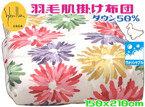 Vr_EPbg _E50sN VOOEHbVu H |ӂƂ 􂦂RGe 􂦂锧|zc yzc t ӂƂ H  |zc t  _E ӂ