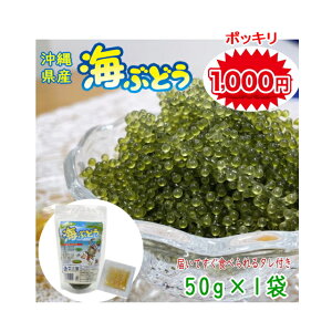 y|Cg10{zꌧY ӂ̊CԂǂ 50g×1 ^t V[t ϔȂ lR|X֑yԗDǃVbvz