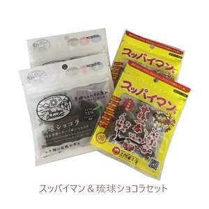 XbpC}VRZbg (˂Ȃ2+VR2j [֑ yԗDǃVbvz