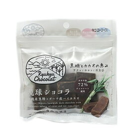 【10％OFF】琉球ショコラ 40g 南西産業 4個までメール便可 【月間優良ショップ】【スーパーSALE対象】