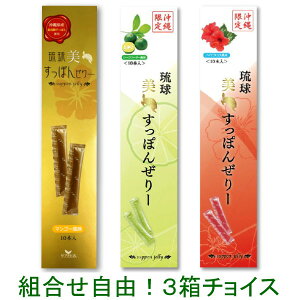 ۂ񂺂[3`CXi}S[/V[N[T[/nCrXJXjAtBjvWFNg [֑ yԗDǃVbvz