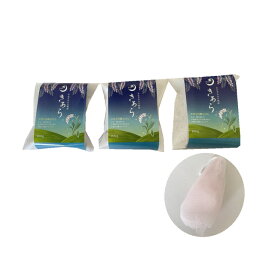 きあら 石けん（月桃石鹸）3個【泡立てネットプレゼント】 送料無料【月間優良ショップ】