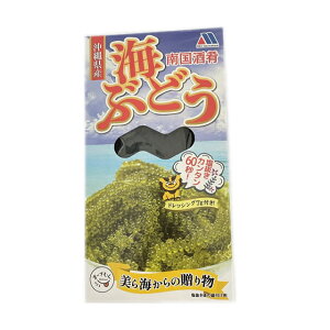 沖縄県産 海ぶどう(南国酒肴)100g×2箱 塩水 タレ(7g)付き メール便送料無料 メック・インターナショナル【月間優良ショップ】